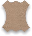 perforated_beige