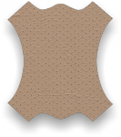 perforated_beige